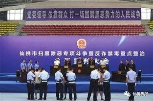 仙桃最新爆料事件新闻发布会,新闻发布会揭秘真相与进展  第1张